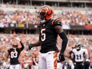 Tee Higgins Makes His Thoughts Clear About Future With Bengals
